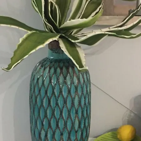 Belvedere Boutique - Adults Only