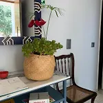 Belvedere Boutique Guest house Funchal (Madeira)