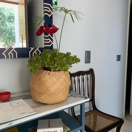 Belvedere Boutique - Adults Only Maison d'hôtes Funchal (Madeira)