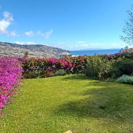 Belvedere Boutique - Adults Only 3*