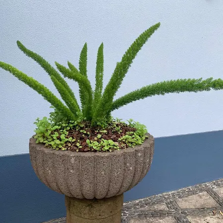 Gæstehus Belvedere Boutique - Adults Only