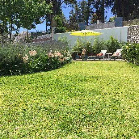 Belvedere Boutique - Adults Only Konukevi Funchal