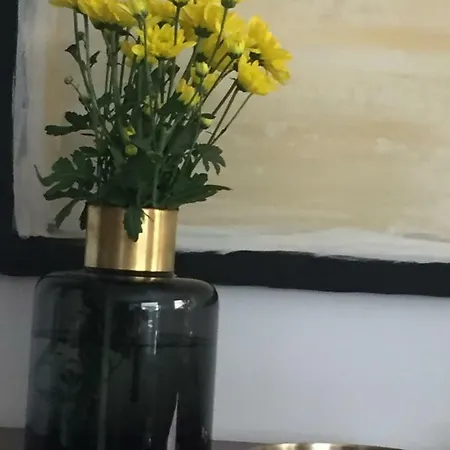 Belvedere Boutique - Adults Only Funchal (Madeira)