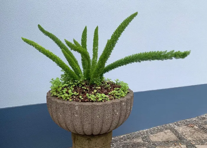 Affittacamere Belvedere Boutique - Adults Only