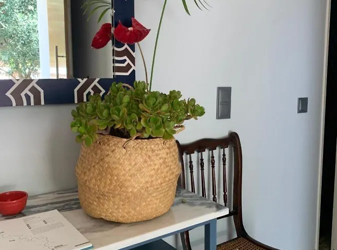 Belvedere Boutique - Adults Only Affittacamere Funchal (Madeira)