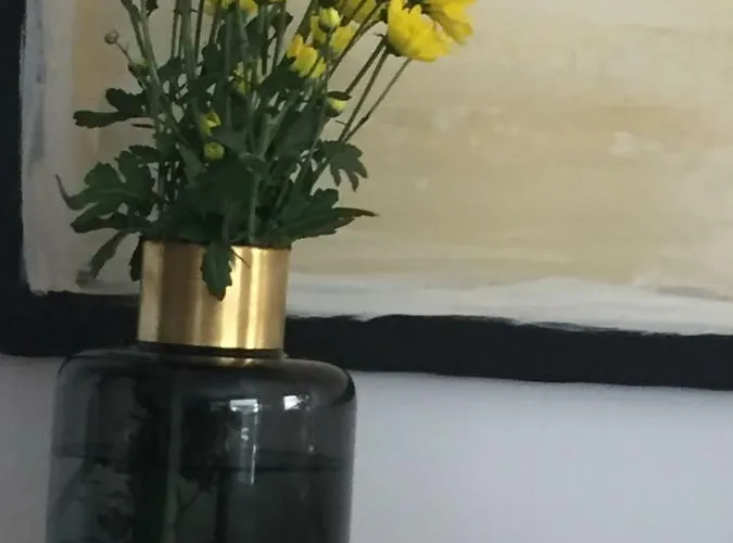 Belvedere Boutique - Adults Only Funchal