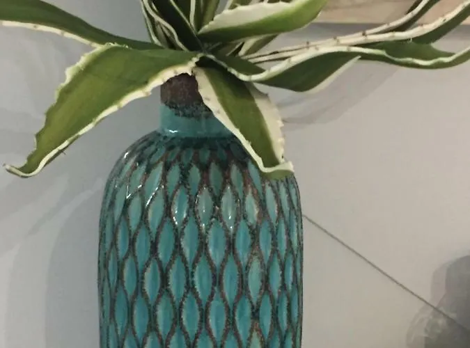 Belvedere Boutique - Adults Only